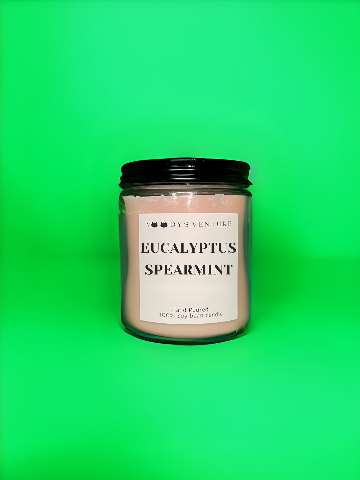 Eucalyptus spearmint 8 oz candle