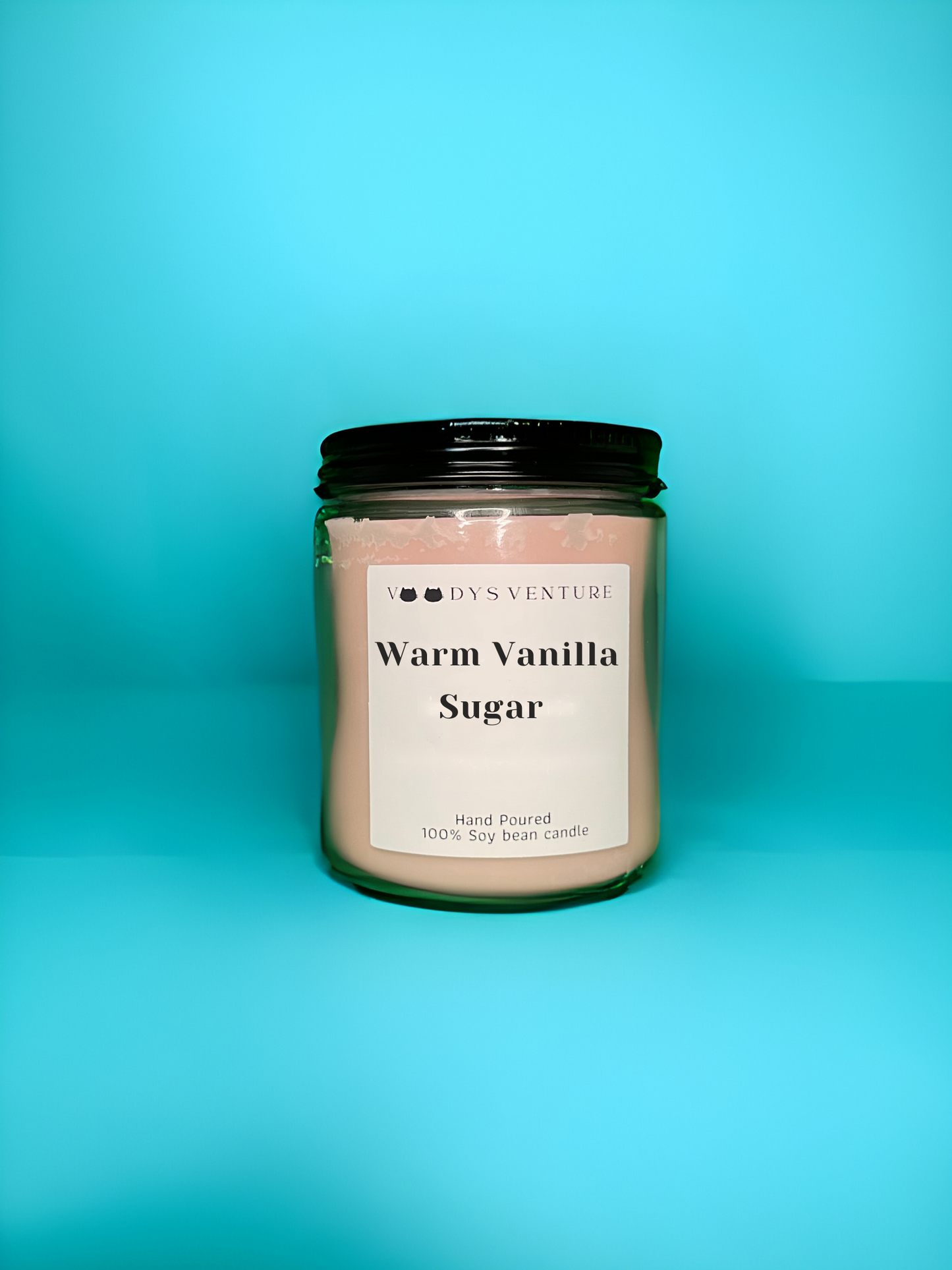 Warm Vanilla Sugar 8oz Candle